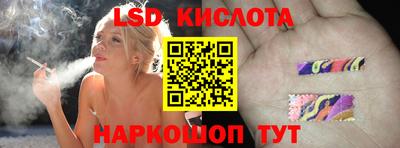 тгк Бийск
