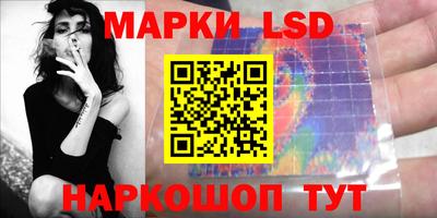 тгк Бийск