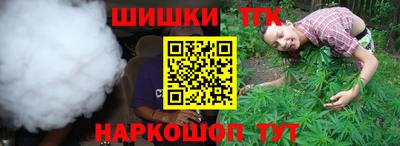 тгк Бийск