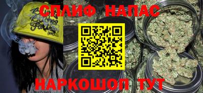 тгк Бийск