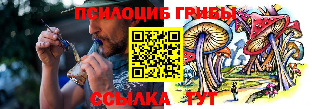 Псилоцибиновые грибы Psilocybine cubensis  Псилоцибиновые грибы MAGIC MUSHROOMS  Гусиноозёрск  Вход с VPN 